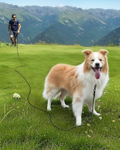 Joytale Long Dog Leash for Yard Tie Out & Recall Training, Black, 65FT - color: Black, size: 65FT