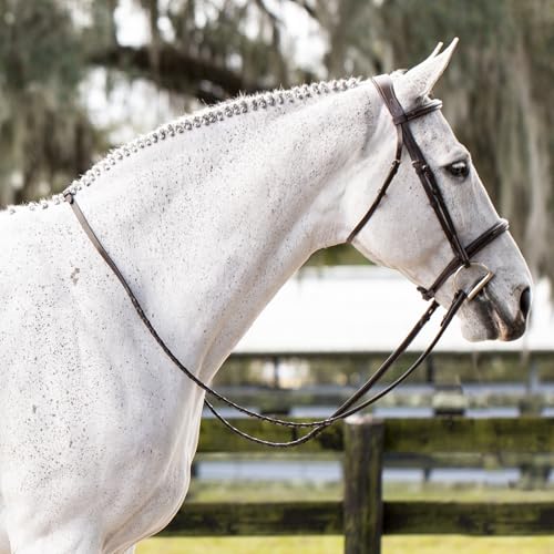 Equinavia Valkyrie Fancy Stitched Padded Cavesson Hunter Bridle with Reins - size: Cob