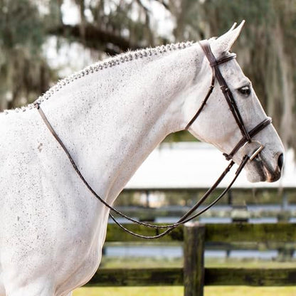 Equinavia Valkyrie Fancy Stitched Padded Cavesson Hunter Bridle with Reins - size: Cob