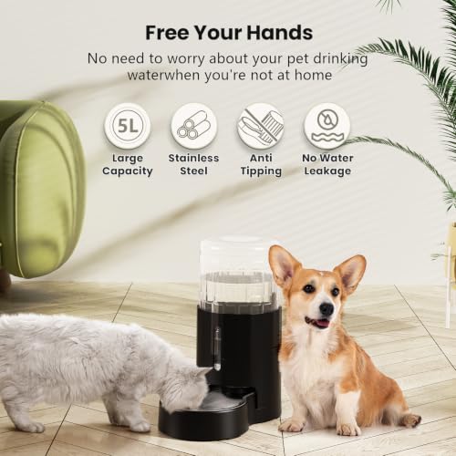 CZPET Dog Water Bowl Dispenser 5L, Wider Mouth Gravity Refilling (Black) - color: Black, size: 5L