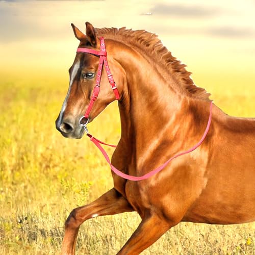 Horse Bridle Reins, Adjustable Horse Bridle Rein Harness Headstalls Removable Snaffle with Soft Cushion