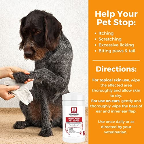Nootie Medicated Dog Wipes, 2% Chlorhexidine and 2% Miconazole Formulated Pet Wipes for Dogs and Cats - 5"x 6" Size XL Wipes - 70 Count - Sold in Over 10,000 Vet Clinics and Pet Stores Worldwide - size: 70 count (Pack of 1)