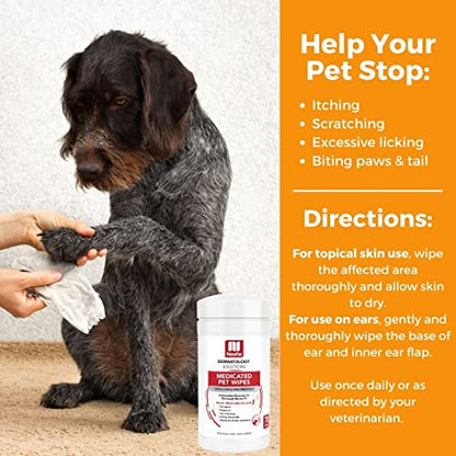 Nootie Medicated Dog Wipes, 2% Chlorhexidine and 2% Miconazole Formulated Pet Wipes for Dogs and Cats - 5"x 6" Size XL Wipes - 70 Count - Sold in Over 10,000 Vet Clinics and Pet Stores Worldwide - size: 70 count (Pack of 1)