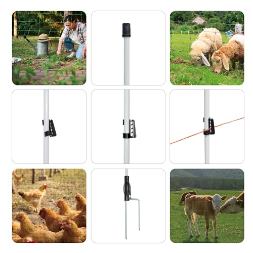 72inch/6ft Fiberglass Electric Fence Posts with Double Spikes for Animals, Garden Protection, etc. - 36 Posts Come with 180 Clips - size: 72" x 36 (180 Clips)