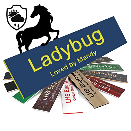 Horse Stall Name Plate, 2x6 Personalized Stall Signs, UV Protected, All Weather Adhesive, Hanging, Mounting or Other, Blue Plastic with Yellow Letters - Made in USA - B20 - color: B20 - Blue/Yellow, size: 2in x 6in (5.1cm x 15.2cm)