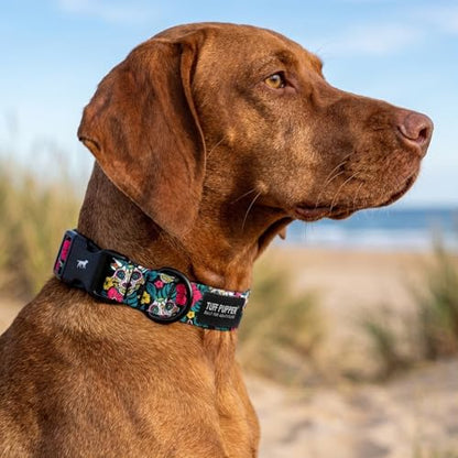 Tuff Pupper Premium Adjustable Dog Collar for Small Boy & Girl Dogs, Stylish Pattern Collars Designed in USA, Quick Release Buckle, DayoftheDead Print, Small (0.7 Inch Wide x 8-12 Inch Neck) - color: Las Calaveras, size: Small