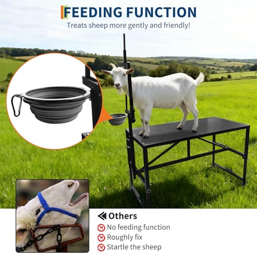 Goat Milking Stand, Adjustable Height Goat Stand with Feed Bin & Adjustable Headpiece, Heavy-Duty 600 Lbs Metal Livestock Shearing Stands for Sheep Goats Lambs Trimming Grooming