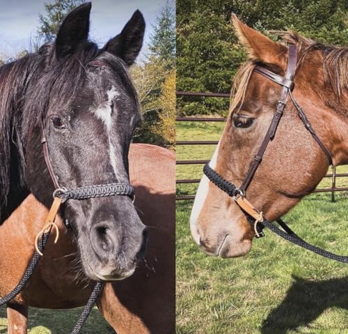 Side Pull Hackamore bitless Bridle Attachment Black Horse tack