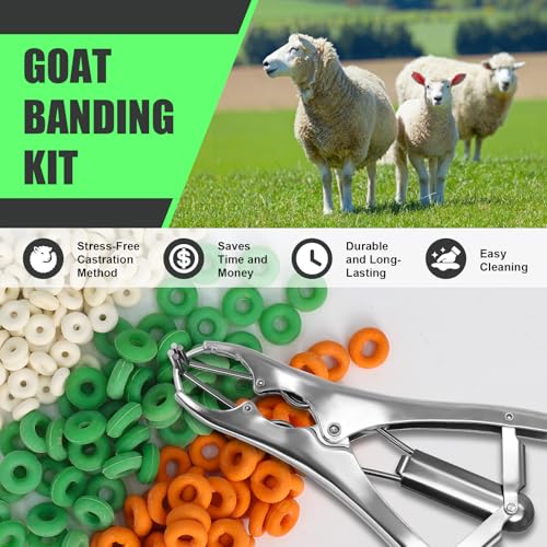 Goat Banding Kit, Stainless Steel Expander Tool 200pcs 3-Size Rubber Bands - color: silver, size: Small