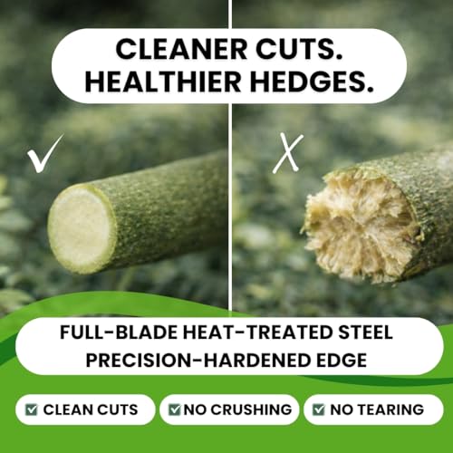 Fujiwara Japanese Hedge Shears 27.2 in (690 mm), Forged Garden Clippers with White Oak Handles, Precision Trimming Shears for Hedges, Shrubs & Landscaping - forest Originals
