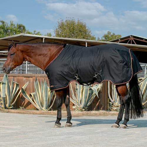 Kensington Protective Products Signature Light Weight Horse Turnout Blanket, Black, 72-in
