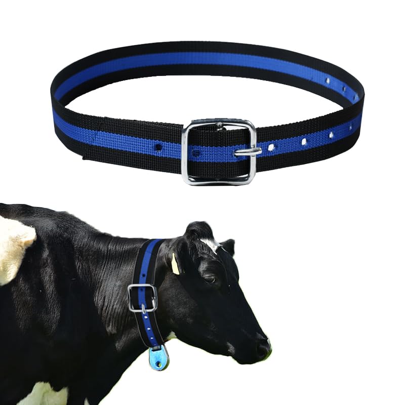 Nylon Cow Collar, 54 Inch, Thickened Neck Strap with Metal Buckle, Blue
