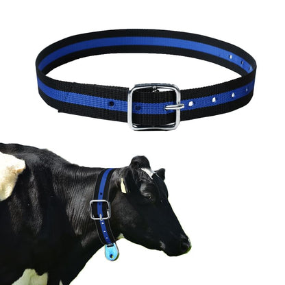 Nylon Cow Collar, 54 Inch, Thickened Neck Strap with Metal Buckle, Blue