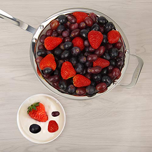 9" Large Mesh Strainer, Stainless Steel 18/8 Extra Fine Quinoa Sieve, with Solid Sturdy Handle, Flour Filter with Wider Hook - size: 1 Pc. - 9"