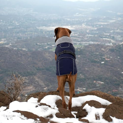 Lelepet Dog Jackets for Small Dogs Waterproof Dog Coat with Adjustable Fit - color: Navy Blue, size: S