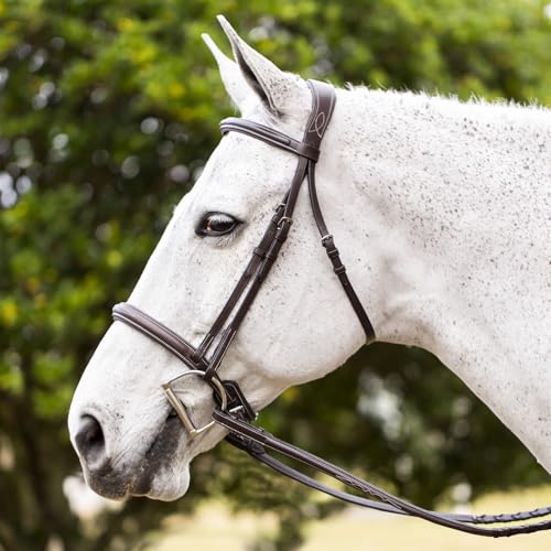 Equinavia Valkyrie Fancy Stitched Padded Cavesson Hunter Bridle with Reins - size: Horse