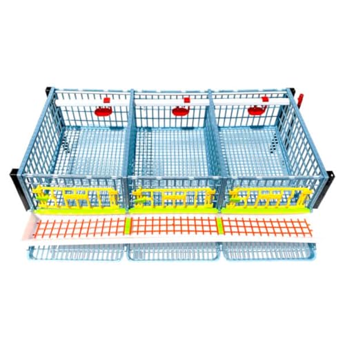 Hatching Time Jumbo Quail Cage Layer Addition – Jumbo Flooring Expansion Add-On for Quail Housing │ Removable Dividers, Extended Waste Trays, Egg Roll-Out Design, Easy-Clean ABS Plastic - style: Jumbo
