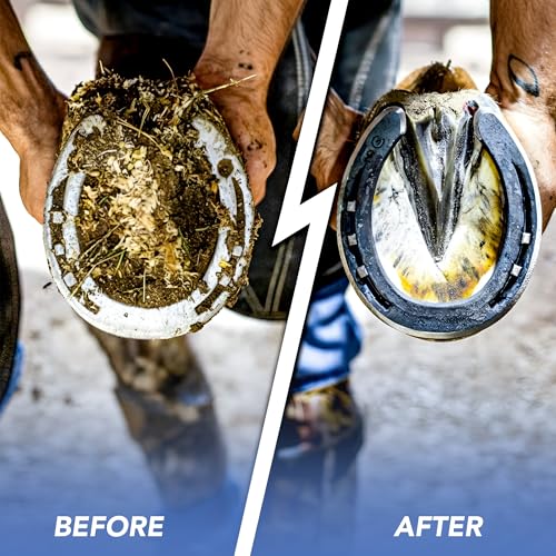 Kelcie's Pick Brush Cleaning Tool - Easy To Use Slip-Proof Grooming Brush For Horses With Great Grip