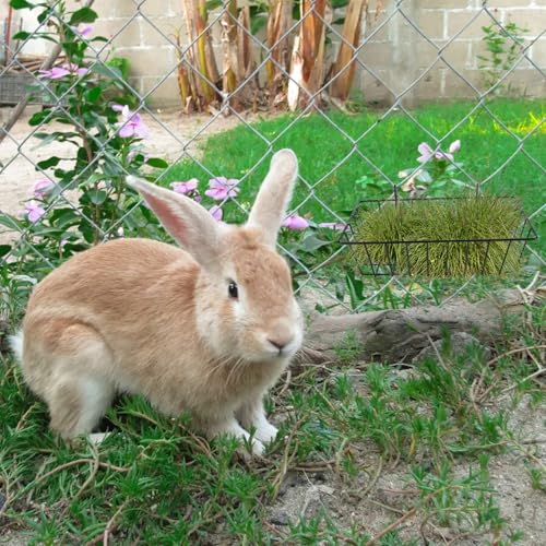 6 Pack Hay Feeder Rabbit with Hooks Heavy Duty, 9x4x3 Inch - color: Black