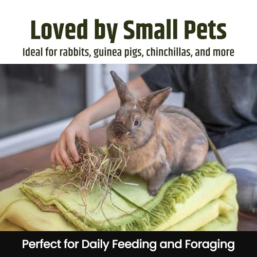 High Desert 2nd Cutting Timothy Hay for Rabbits, Guinea Pigs, 16 lb | Soft Leafy Texture With Balanced Fiber, Supports Healthy Digestion, Great For Chinchillas, Hand Packed in the USA, Low Dust - size: 16 Pound (Pack of 1)