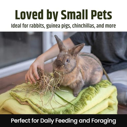 High Desert 2nd Cutting Timothy Hay for Rabbits, Guinea Pigs, 14 oz | Soft Leafy Texture With Balanced Fiber, Supports Healthy Digestion, Great For Chinchillas, Hand Packed in the USA, Low Dust - size: 14 Ounce (Pack of 1)