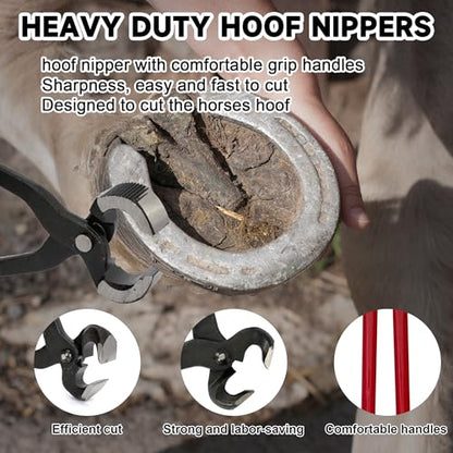 AIWFL 8pcs Farrier Tools Kit Hoof Nipper Horse Hoof Trimmers Farrier Tools Horseshoe Cutting Pliers, Hoof Rasp File, Goat Hoof Shear,Can Easily Trim The Hooves of Horses, Cows, Goat, Sheep, Donkeys