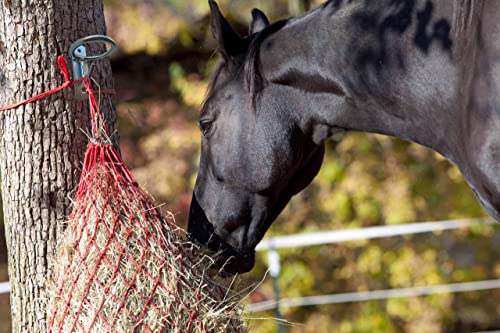Horse Feed Bucket Hook,Water Bucket Holder Hanger for Horse Stall/Stable Supplies (4 Pack) - size: 4 Pack