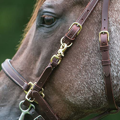 Schneiders Billy Royal Deluxe Trail Halter for Horses Bridle Combo | Convertible Halter/Bridle | Premium English Leather | Padded Comfort | Brass Hardware | Versatile Use
