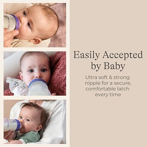 Lansinoh Anti-Colic Baby Bottles, 11 Ounces, 4 Count - style: 11 Ounce, Fast Flow, 4 Count