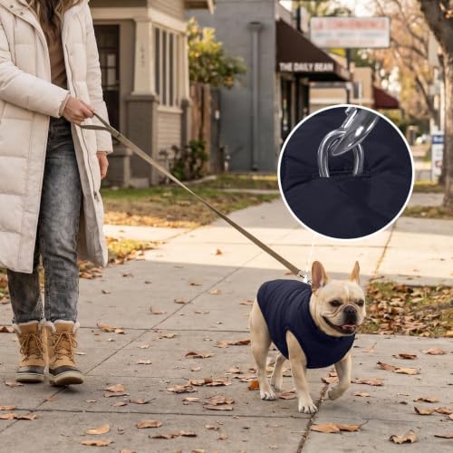 JoyDaog Fleece Lined Dog Jacket for Medium Dogs,Winter Dog Coat,Blue L - color: Blue, size: Large