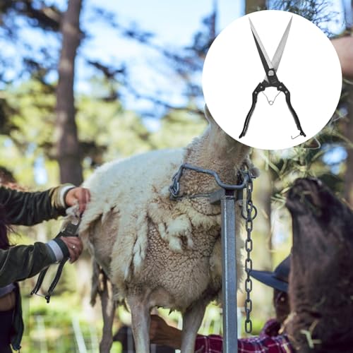 Manual Sheep Shears 13.78 Inch Carbon Steel Animal Hair Clippers with Ergonomic Handle for Efficient Sheep Goat Cow Grooming and Farm Use