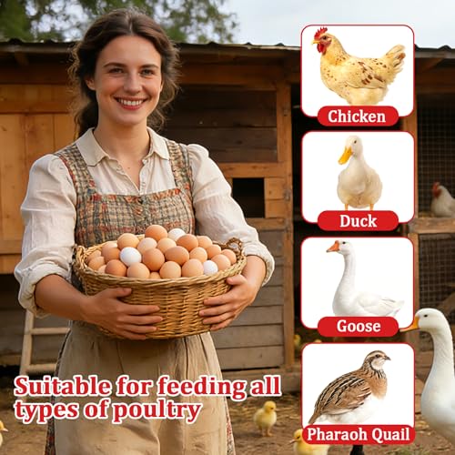 Oyster Shell and Grit Feeder Combo, Metal Chicken Feeder with Viewing Window/Lid, Hanging Gravity Chicken Grit Feeder, Coop Accessories for Healthier Hens and Eggs (Red) - color: Red