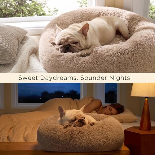 Bedsure Calming Cat Beds Donut Round Washable Kitten Bed,20 inches Purple | Fluffy Faux Fur Cuddler,Machine Washable,Anti-Slip Bottom,Anti-Anxiety,Deep Sleeping for Cats&Small Pets Up to 15 Lbs - color: Indigo Purple, size: 20"L x 20"W x 6"Th