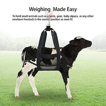 Calf Sling Weighing Sling, Goat Sling for Goats and Lambs, 220 lb