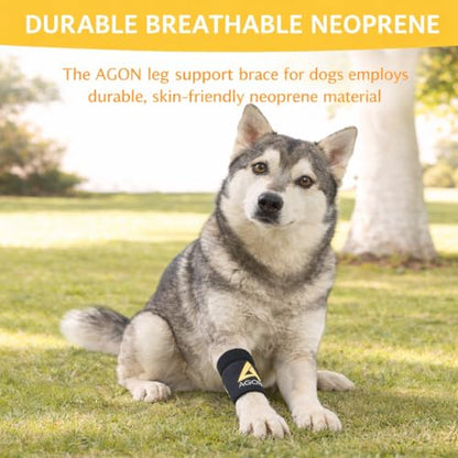 AGON® Pair Dog Canine Front Leg Brace Paw Compression Wraps with Protects Wounds Brace Heals and Prevents Injuries and Sprains Helps with Loss of Stability Caused by Arthritis (XX-Small/X-Small) - size: XX-Small/X-Small