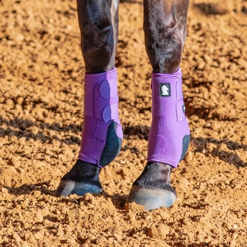 Classic Equine Legacy2 Support Boots, Front (Violet Purple, Large) - color: Violet Purple, size: Large