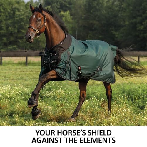 STORM SHIELD Extreme Turnout Sheet - Playful Horses | Size 68 Slate Blue | 1680 Denier | Contour Collar | Criss-Cross Surcingle | Euro Fit | Waterproof, Windproof & Breathable | Easy Snap Front
