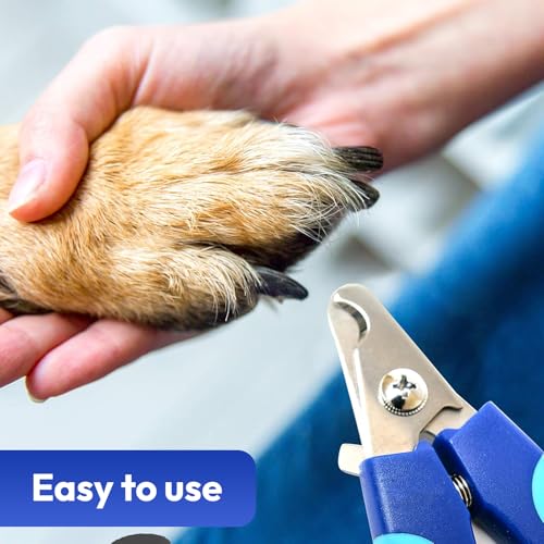 BPG Pet Grooming Tools for Dogs & Cats- 3 Piece Dog Grooming Kit, Pet Nail Care Kit, Nail Grinder, Clippers and File- Precision Trimming Perfect At Home Grooming Set - color: Nail Grinder/ Nail Clipper/ Nail File