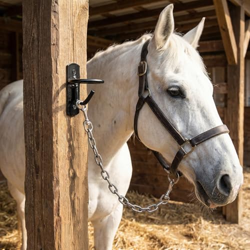 6 Pcs Metal Bucket Hooks for Horses - Heavy Duty Bucket Holder with Ring, Wall Mount Water Hangers for Stall, Barn, Farmhouse Supplies (Black)