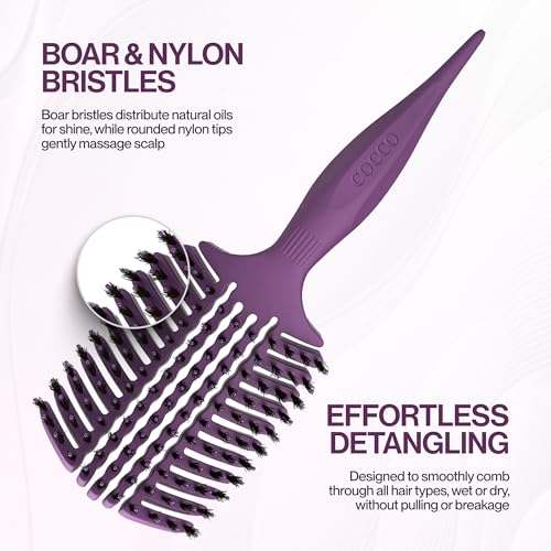 COCCO Aura Vent Boar Brush, Dual-Curved Design for Faster Drying - color: Purple
