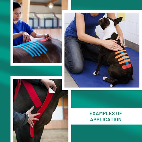 VetkinTape Canine & Equine Kinesiology Tape | Veterinary Tape 2.4" - color: Lime
