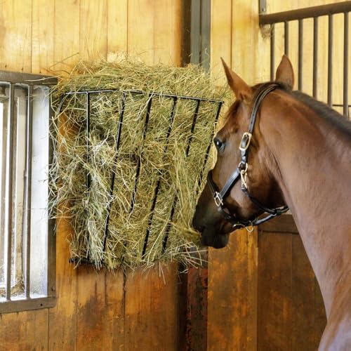 Schneiders Easy-Up Standard Hay Rack for Horses | Heavy-Duty Wall-Mounted Feeder | Holds 2-3 Flakes | Space-Saving Stable & Barn Hay Storage | Color Black