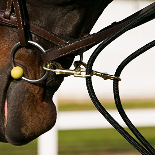 Dura-Tech Sliding Snap Rope Draw Reins for Horses | Unbeatable Quality and Price | Durable Cotton Poly Rope | Reinforced Snaps | Two Sliding Snaps | All-Breed Suitable