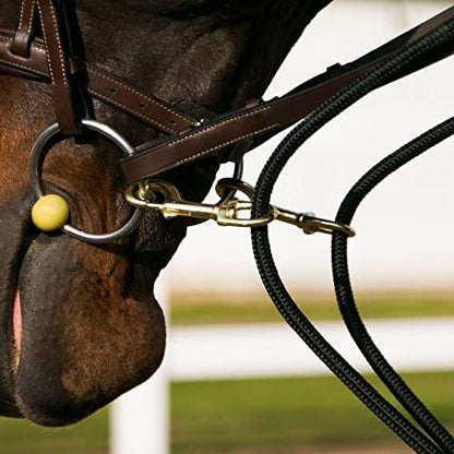 Dura-Tech Sliding Snap Rope Draw Reins for Horses | Unbeatable Quality and Price | Durable Cotton Poly Rope | Reinforced Snaps | Two Sliding Snaps | All-Breed Suitable