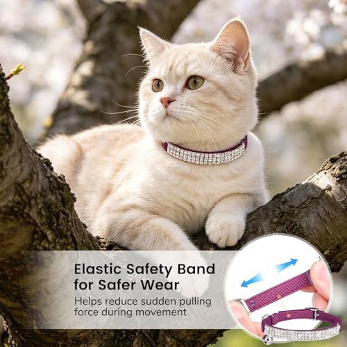 BINGPET Diamond Cat Collar with Bell,Adjustable Kitten Collar,Purple - color: Purple(Rhinestones), size: Neck Girth 8"-10"