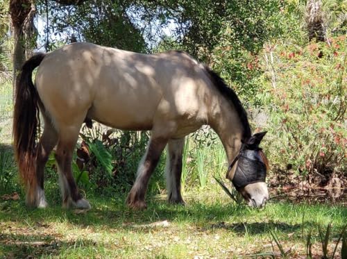 EquiVizor 95% UV Eye Protection (XL) Horse Fly Mask with Ears. Designed to Stay On Your Horse, Off The Ground - size: X-LARGE