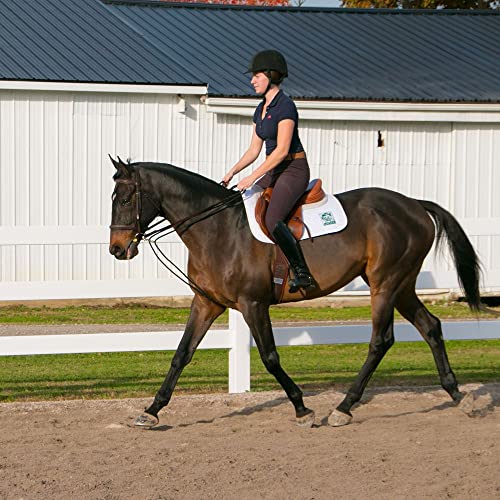 Dura-Tech Sliding Snap Rope Draw Reins for Horses | Unbeatable Quality and Price | Durable Cotton Poly Rope | Reinforced Snaps | Two Sliding Snaps | All-Breed Suitable