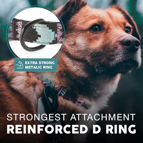 Embark Dog Collar - Adjustable Heavy Duty Outdoor Pet Training Collar - color: Aztec, size: Large