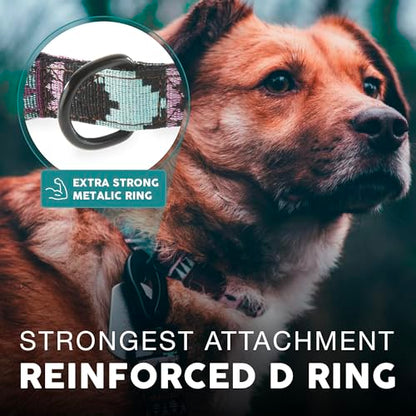 Embark Dog Collar - Adjustable Heavy Duty Outdoor Pet Training Collar - color: Aztec, size: Large