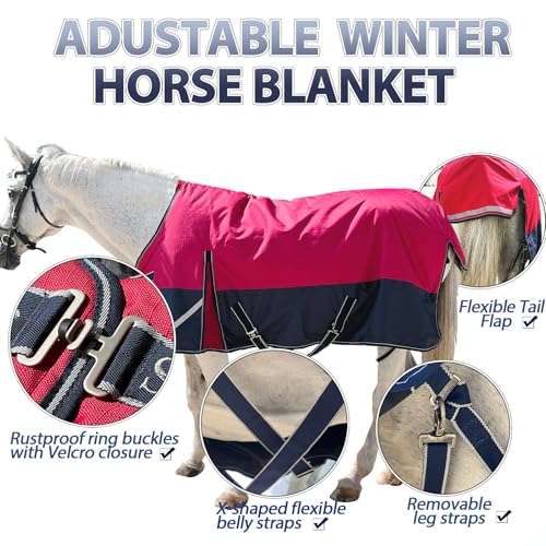 1200D Winter Horse Blanket,300g Fill,Red/Blue 78'' - color: Red/Blue 300g Fill, size: 78''